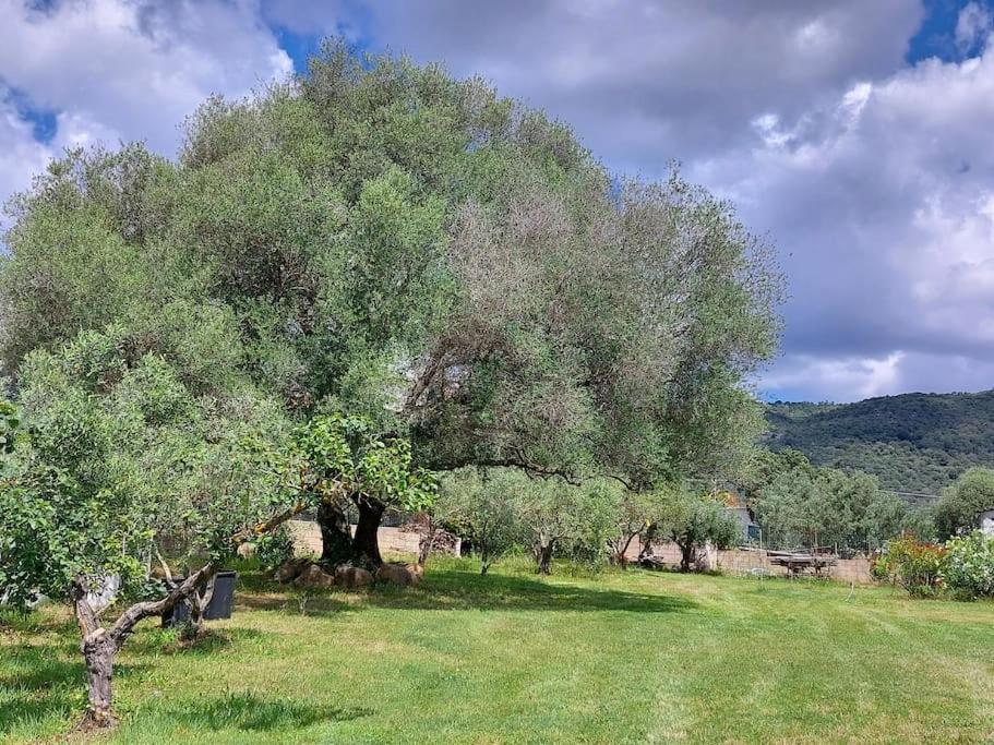 Sole Ruiu Olbia Grazioso Bilo In Periferiaヴィラ エクステリア 写真